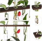 Terrarium Wall Hanging Propagation Station, 3-Tier Wood Frame, Glass Tubes