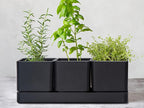 D'vine Dev Herb Garden Planter Set, Plastic Plant Pots with Drainage and Saucer, Indoor Succulent Cactus Vegetable Pot for Windowsill, Garden Balcony, Black, Set of 1, 76-V-B-1