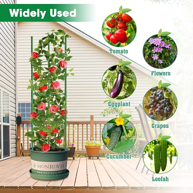 6 Pack Tomato Cages, 51.2in Tomato Plant Support Stakes Heavy-Duty, Garden Tomato Cages & Trellis for Climbing Vegetables, Tomatoes, Peppers, and Potted Plants(6)