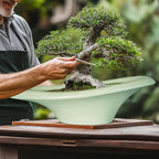 Ceramic Bonsai Pots - Large Succulent Planter 18 Inch Plant Pot Indoor Succulent Pot with Drainage Hole Outdoor Planter Bonsai Tree Pot for House Home Garden Decor Green