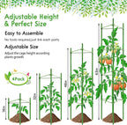 Riare 4 Pack 5.2 FT Tomato Cages for Garden- 63inches Heavy Duty Tomato Stakes and Supports, Adjustable Tall Tomato Plant Support Trellis for Pots, Raised Garden Bed, Climbing Vegetables Plants