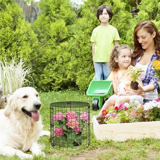 Plant Protector Cages with Removable Covers, Black, 5 Sets