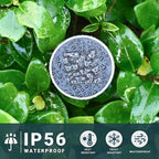 SOLPEX 24 Pack Solar Outdoor Lights Pathway, Stainless Steel Solar Lights Outdoor Waterproof,LED Landscape Lighting Solar Walkway Lights for Landscape/Patio/Lawn/Yard/Driveway-Warm White