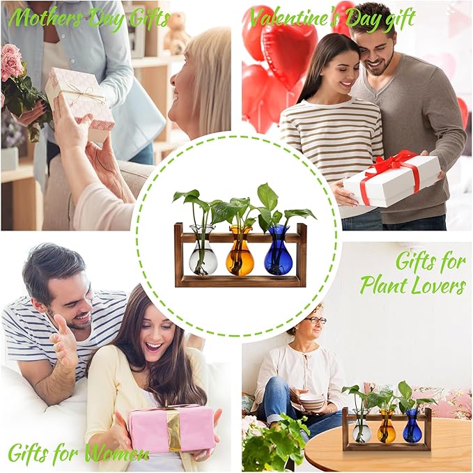 Terrarium Propagation Station with 3 Borosilicate Glass Bulbs and Wooden Stand