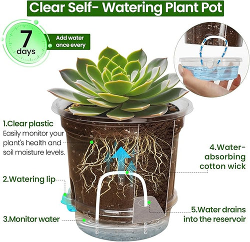12 Packs 5 Inch Self Watering Pots for Indoor Plants – 5in