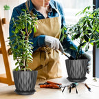 6 Pack 6 Inch Indoor Plant Pots with Drainage Holes, Outdoor Plastic Decorative Flower Pots, Garden Planters with Tray Saucers for Orchids, Violets, Succulents, Herbs, and Other Plants