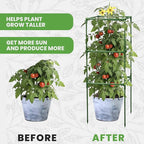 Tomato Cage Square - Large Trellis Stakes and Plant Support Structures for Vegetables and Climbing Plants - Tall Tomato Cages for Garden, Pots, Raised Garden Bed Outdoor Supplies (6 Pack - Up to 41")