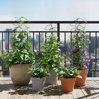 Plant Trellis for Climbing Plants Indoor Outdoor, Trlzey 3 Pack Stackable Metal Trellis - Small Garden Trellis for Potted Plants, Vine Support for Ivy, Flowers, DIY Home Deco
