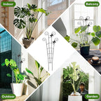COOMIN 30'' Monstera Plant Support Outdoor, Metal Expandable Plant Supports for Indoor Plants, 4P Garden Trellis for Climbing Plants Indoor - Ivy, Pothos, Philodendron, Hoya