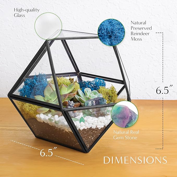 Terrarium Kit, 7-Inch Dodecahedron Glass Container with Moss and Crystals