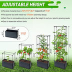 2 Packs Raised Garden Bed Tomato Planter Box with Trellis, 55.2" Self-Watering Tomato Cage with Rectangular Trellis for Climbing Plants Flowers Vegetables Vine in Patio Garden Indoor Outdoor