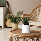 Planters 4 Pack 5 Inch Matte White Modern Plastic Pots with Saucers