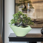 Ceramic Bonsai Pots - Large Succulent Planter 13 Inch Plant Pot Indoor Succulent Pot with Drainage Hole Outdoor Planter Bonsai Tree Pot for House Home Garden Office Decor Green