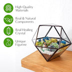Terrarium Kit, 7-Inch Dodecahedron Glass Container with Moss and Crystals