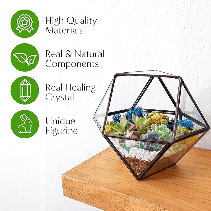 Terrarium Kit, 7-Inch Dodecahedron Glass Container with Moss and Crystals