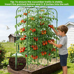 65in Tall Cucumber Trellis for Raised Bed, 50" L x 65" H Metal Garden Trellis for Climbing Plants Outdoor, U-Shape Vegetables Trellis Support for Squash Zucchini Peas Grape