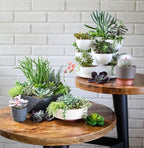 The HC Companies 8 Inch Round Plastic Succulent Capri Bowl 8"x8"x3" in Artisan Taupe with Copper Bottom Color