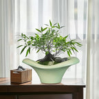 Ceramic Bonsai Pots - Large Succulent Planter 13 Inch Plant Pot Indoor Succulent Pot with Drainage Hole Outdoor Planter Bonsai Tree Pot for House Home Garden Office Decor Green
