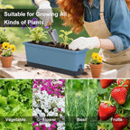Window Box Planter 4 Packs, 17 Inches Rectangle Flower Pots with Drainage Holes & Trays, Pots for Vegetables, Herbs, Flowers, Garden Windowsill Balcony (Blue, 17 * 5.1 * 6 inch)