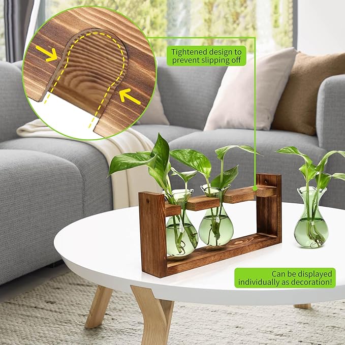 Terrarium Set with Three Green Bulb Glass Bottles and Wooden Stand