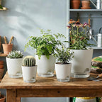 GARDIFE 2026 Upgraded Self Watering Plant Pots with Drainage Hole, 8/7/6.5/6/5.5/5/4 Inch Flower Planting Containers for House Plants, African Violet, Flowers, Cactus (White, 8+7+6.5+6+5.5+5+4 inch)