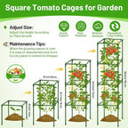 Legigo 2 Pack Square Tomato Cages for Garden- Up to 60 Inch Tomato Plant Support Stakes Cage, Heavy Duty Steel Tomato Trellis Garden Stakes for Raised Garden Bed Climbing Vegetables Cucumbers Flowers