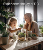 Terrarium Jar Set with Grow Light and Tools for Succulents
