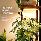 Bamworld Plant Stand with Grow Light for Indoor Plants Corner 7 Tier Metal Plant Shelf Wood Flower Stand for Home Living Room Decor Patio Decor