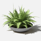 Veradek Mason Series Lane Bowl Planter| for Indoor or Outdoor Tabletops/Gardens |Made from Plastic-Stone Composite with Drainage Holes|Modern Décor for Flowers, Succulents, Small Plants