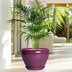 Ceramic Planter - 8 Inch Plant Pot Indoor with Drainage Hole and Saucer, Glaze Decorative Planter, Round Flower Pot, Plant Lover Gifts, Home Garden Office Decor, Purple