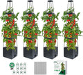 MQUPIN Tomato Planter Box with Trellis for Garden, 57 Inch Self-Watering Raised Garden Bed, Patio Tomato Cage for Climbing Vegetables & Flowers, Upgraded Tomato Pot for Indoor Outdoor Use (4 Pack)