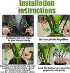 Monstera Stem Support - 5-Piece Durable Plant Support System for Monstera & Turtle Shell Plants -Premium -Quality Leaf Clamps -Easy-to-Use Indoor Garden Stabilizers for Healthy Growth