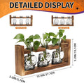 Terrarium Propagation Station, Skull Glass Vases, 3-Piece Set with Wood Stand