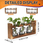Terrarium Propagation Station, Skull Glass Vases, 3-Piece Set with Wood Stand