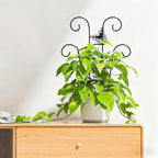 Indoor Plant Trellis for Climbing Plants, Stackable Garden Trellis for Potted Plants, Small House Plant Trellis for Vine Ivy Flower Plant Support Outdoor DIY Metal Trellis 3 Pack, Butterfly Design