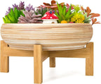 ARTKETTY Succulent Pots - 10 Inch Large Bonsai Pots with Drainage Stand, Ceramic Plant Pots Shallow Succulent Planters for Indoor Plants Decorative Cactus Flower Planter Bowl