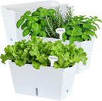 Window Box Planter 6 Pcs, 12.1 Inches Self Watering Plant Pots Rectangle Flower Pots with Drainage Holes and Breathable Trays, Vegetable Planters for Windowsill Patio Garden Balcony Porch Yard (White)