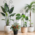 4 Pack 30 InchTaller Plant Trellis for Potted Climbing Plants Indoor,Expandable Metal Garden Trellis for Climbing Plants, Flowers Vine Ivy, Sturdy Houseplant Support for Potted Plants with Ties