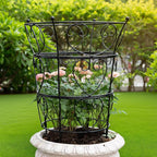 Obelisk Trellis for Peonies, Black Metal Heart Cage, 24.6 x 17 Inch