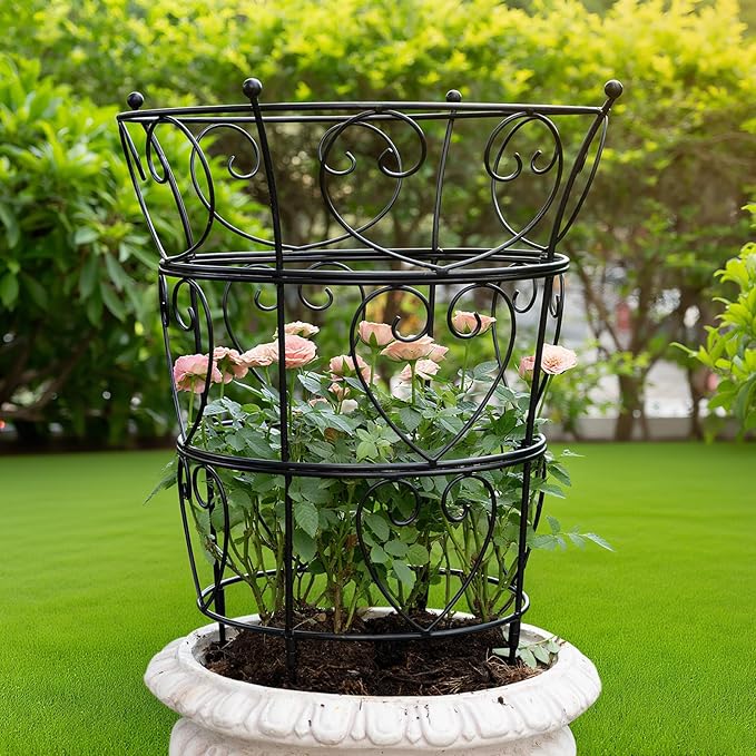 Obelisk Trellis for Peonies, Black Metal Heart Cage, 24.6 x 17 Inch