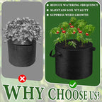 3 Pack 10 Gallon Grow Bags with Planting Holes, Planting Bags, Plant Grow Bags, Fabric Grow Bags, Heavy Duty Thickened Nonwoven Fabric Gardening Vegetable Growing Bags with 3/5/8 Planting Holes