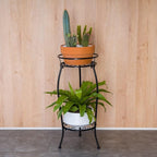 FaithLand Plant Stand, Metal Planter Holder Indoor Outdoor, 2 Tier Round Potted Supports Rack, Corner Display Shelf Black, Tall