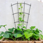 4 Pack 32'' Indoor Plant Trellis for Potted Plants Climbing Outdoor Metal Garden Trellis Houseplants Flowers Vine Ivy,Fan Shape, Black