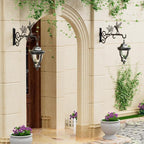 2-Pack Aesthetic Plant Hangers Outdoor – 10 Inch Metal Hanging Plant Bracket with Beautiful Hummingbird Pattern – Anti Rust Plant Hooks for Hanging Plants, Bird Feeder, Windchime, Lantern