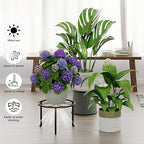 5 Pack Heavy Duty Rustproof Iron Corner Flower Pot Stand Holder,Round Supports Display Rack Tiered Plant Stand, Pot Rack Shelf Indoor Multiple Plants