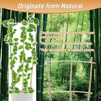 10 Pack 4ft Bamboo Trellis for Climbing Plants - Fan-Shaped Support Trellis for Potted Plant Decor in Door