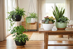 Hanging Planters, 3-Pack 10 Inch Self-Watering Pots with Drainage Holes and Chains, Matte Plastic Planters for Indoor/Outdoor Plant（Black）
