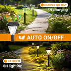 GIGALUMI 8 Pack Solar Lights Outdoor Waterproof, Outdoor Solar Lights for Yard, Solar Garden Lights, Yard Decorations Outdoor for Pathway, Patio, Garden, Driveway, Lawn, and Landscape(Warm White)