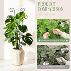4 Pack 30 Inch Tall Metal Plant Trellis for Climbing Plants Indoor - Rustproof Garden Trellis for Potted Houseplants, Sturdy Support for Ivy, Pothos, Monstera, Hoya & Flower Vines