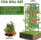 3 Pack Tomato Cages,Square Tomato Plant Stakes Support Cages Trellis for Garden Climbing Vegetables Flowers Fruits,Extra Bold